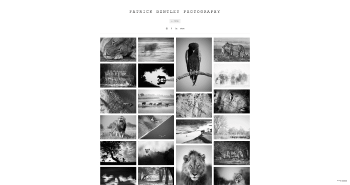 Patrick Bentley Photography website screenshot
