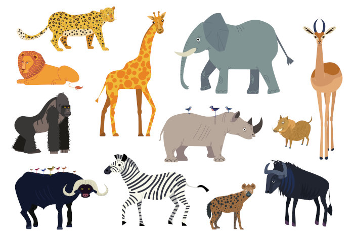 African animals cartoon characters