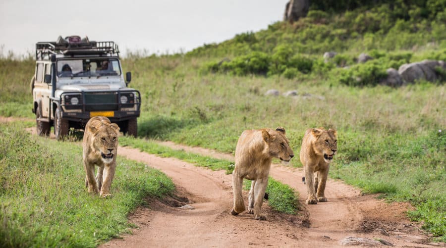 karmazari safari booking