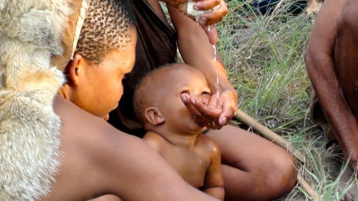 Bushmen extracting water content from a bi! bulb for their child