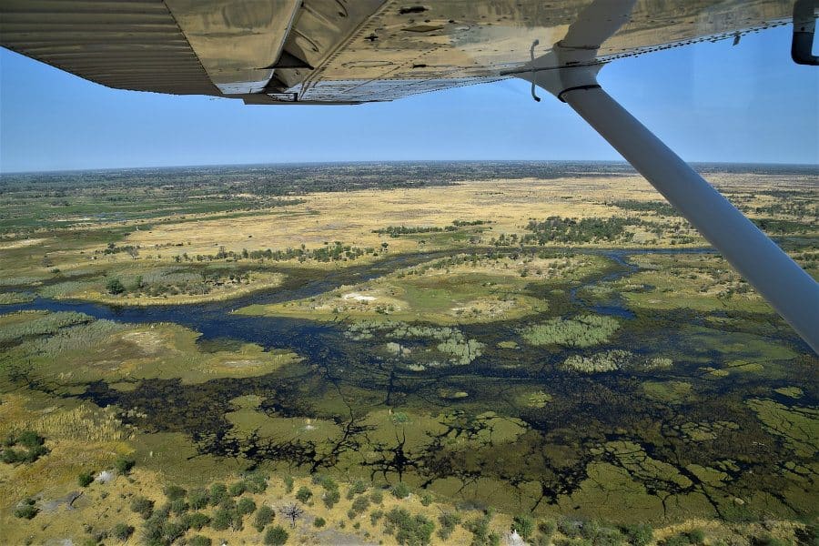 Contemplating the Okavango from above - Delta scenic flight