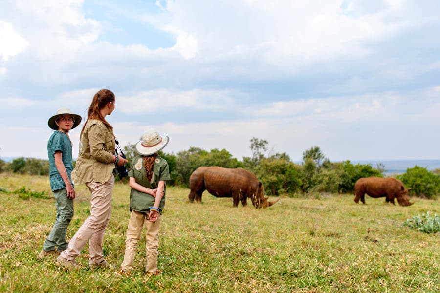 Safari walk with wild rhinos