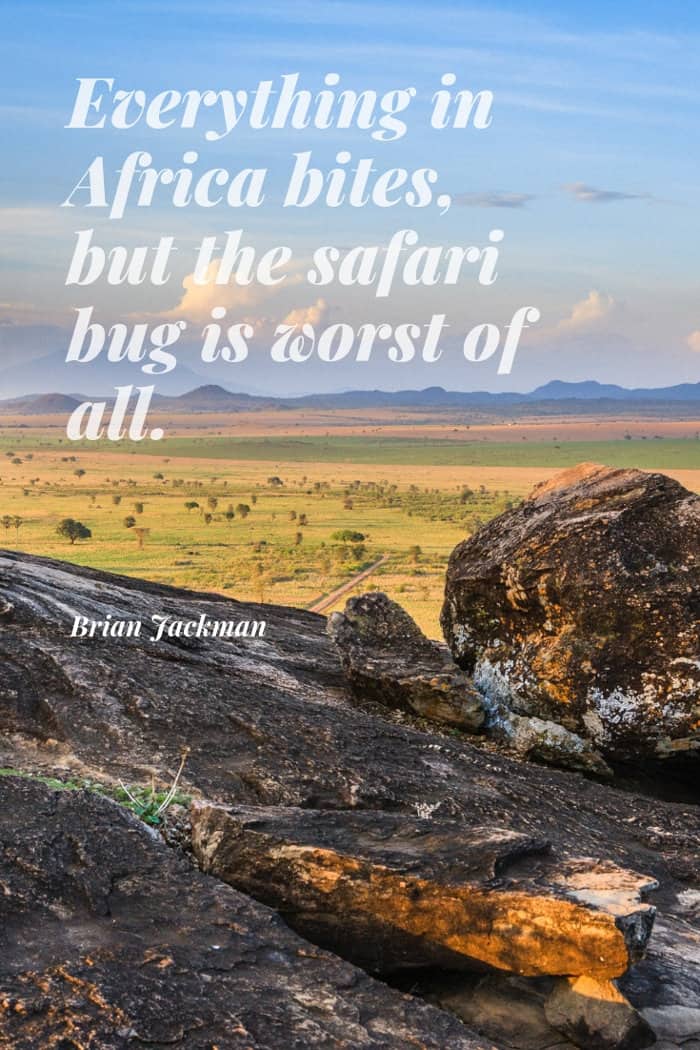 Brian Jackman quote about the safari bug
