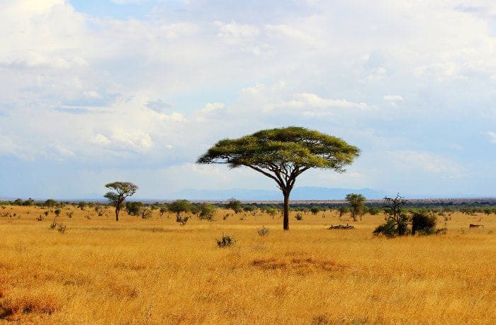 Africa's Different Landscapes and Habitats - Major Types