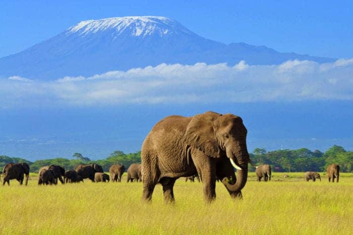 top safari in kenya