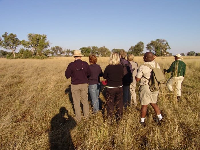 african safari field guide