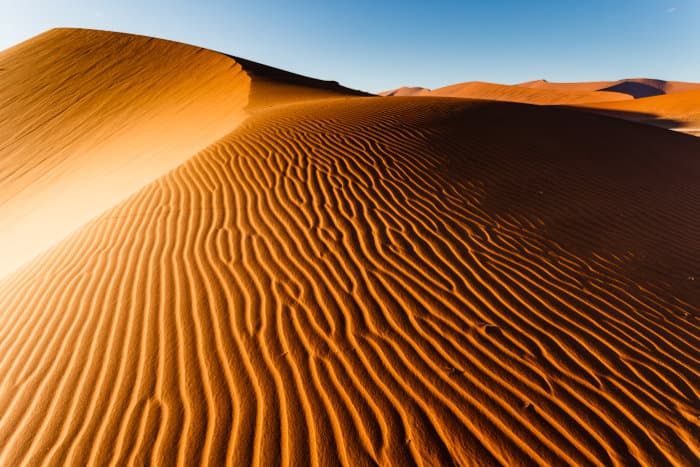 10 Facts About the Namib Sand Dunes - On The Go Tours Blog