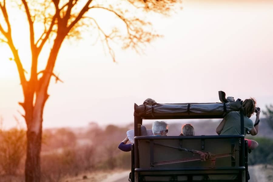 Sunset safari in South Africa