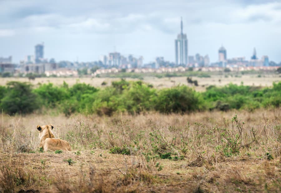THE NAIROBI NATIONAL PARK visual data 2