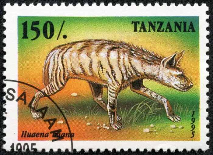 Striped hyena on a colourful Tanzanian stamp (circa 1995)
