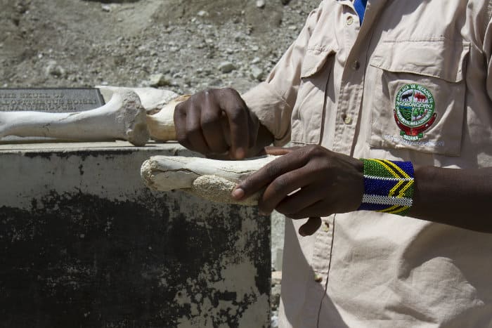 Guide with bones, explains all about the history of Olduvai Gorge