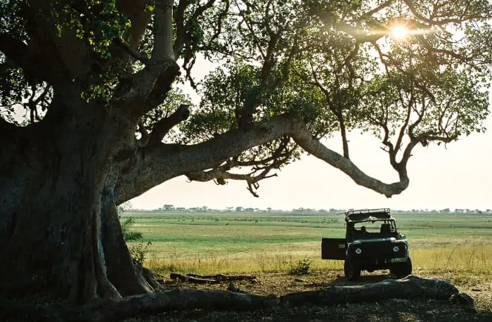 Jeep under a Marula tree in Kafue National Park