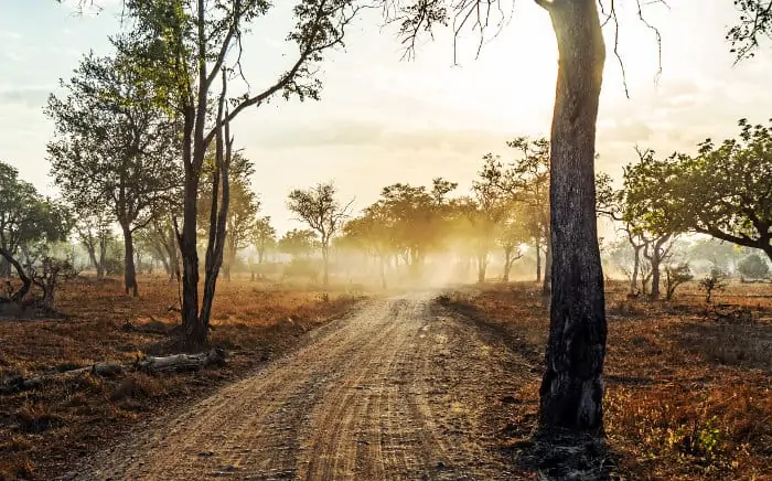 Typical road in South Luangwa National Park