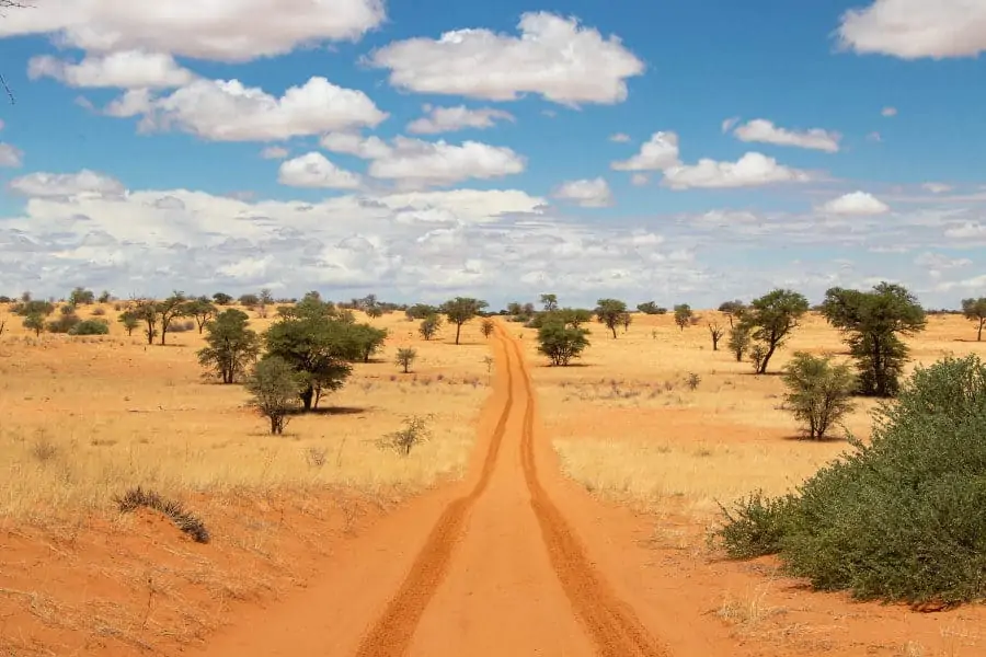 4x4 sand track in the Kgalagadi Transfrontier Park