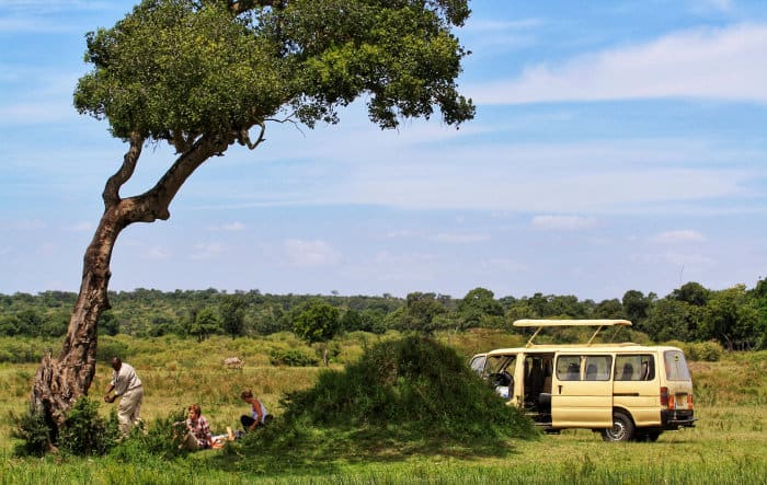 Group of tourists having a picnic break under a tree in the Masai Mara