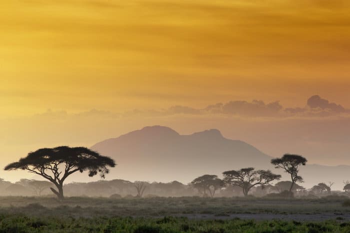 Typical landscape on an African safari