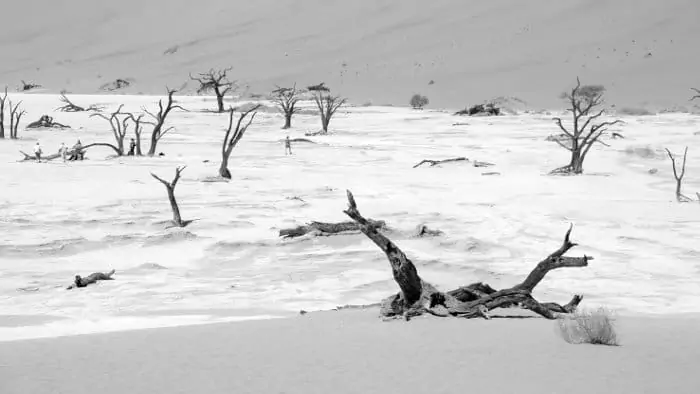 Deadvlei clay pan in black and white