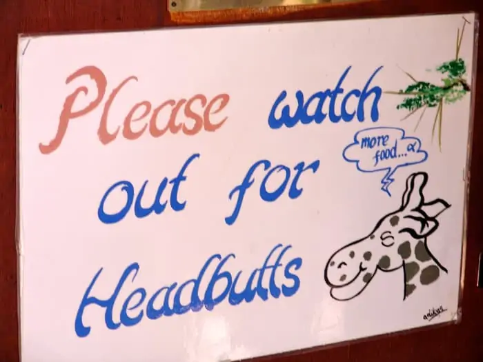Please watch out for headbutts - Giraffe Centre friendly notice