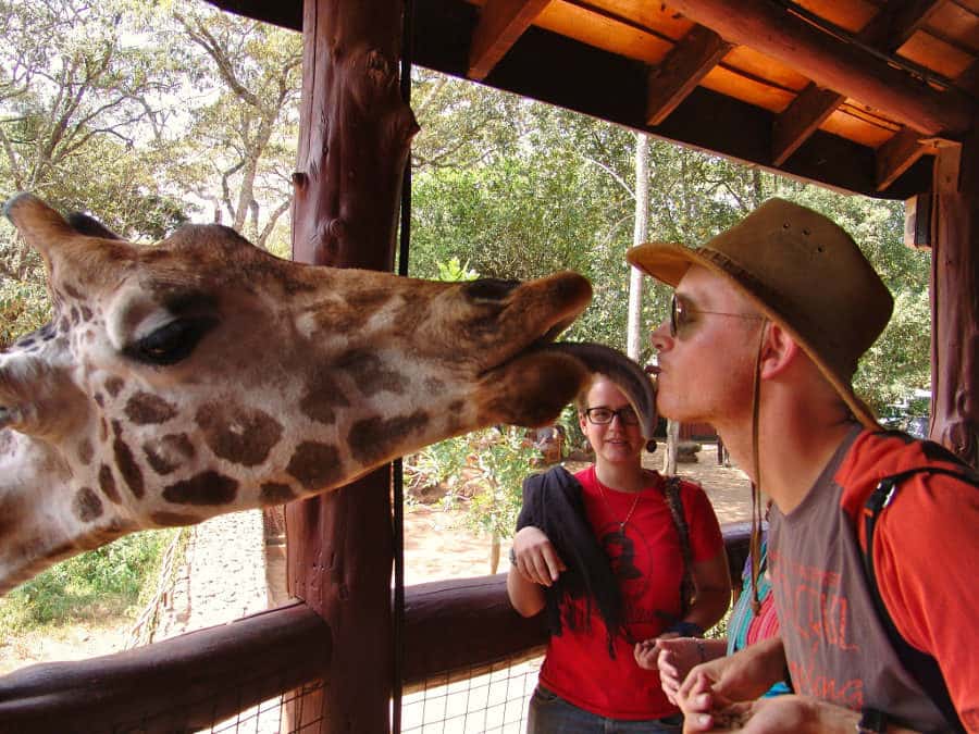 Kissing a giraffe at the Nairobi Giraffe Centre