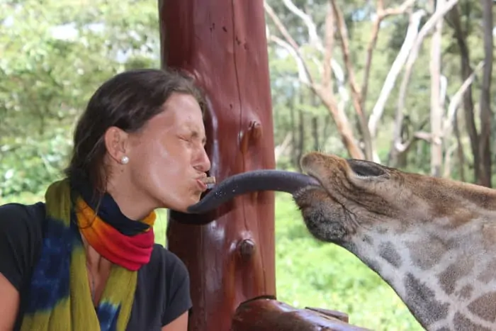 Pretty woman gets kissed by a giraffe's slurpy tongue