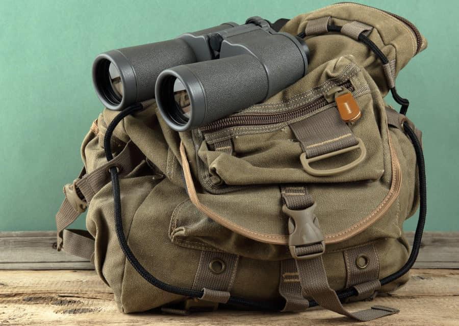 safari runway backpack