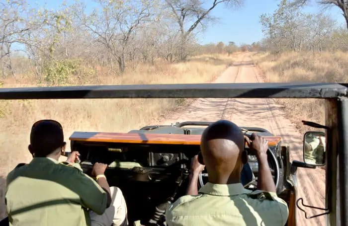 Game drive in Ruaha National Park