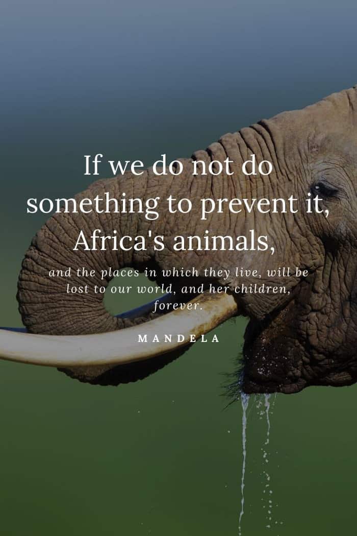 Nelson Mandela wildlife quote