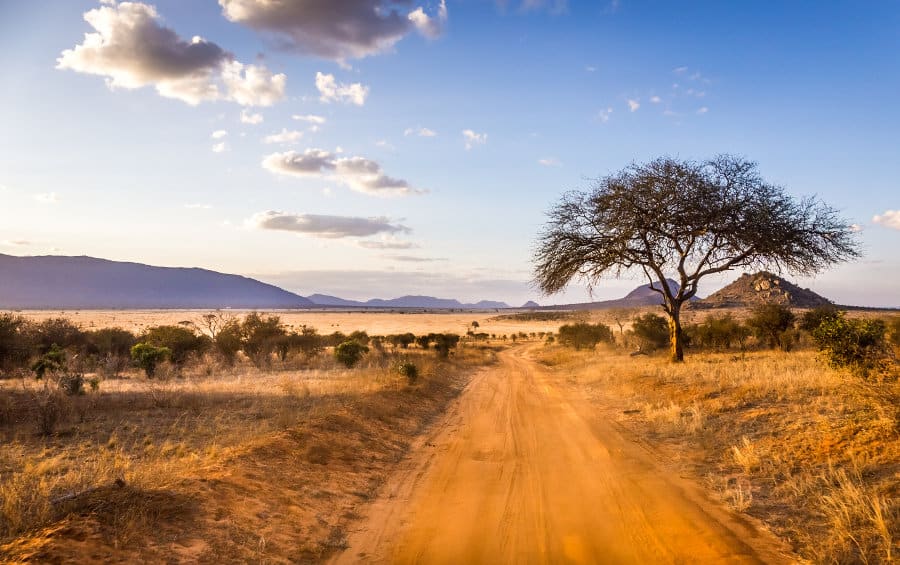 Typical dirt road on a Kenyan safari