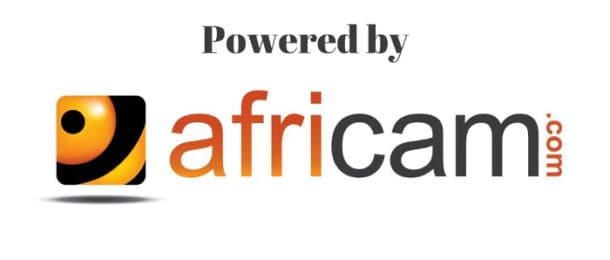 AFRICAN WILDLIFE CAMERA LIVE visual data 7