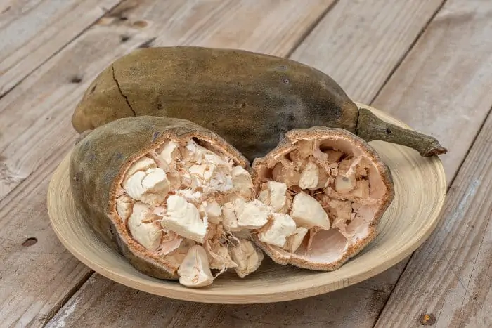 Open baobab fruit on a plate, Zanzibar