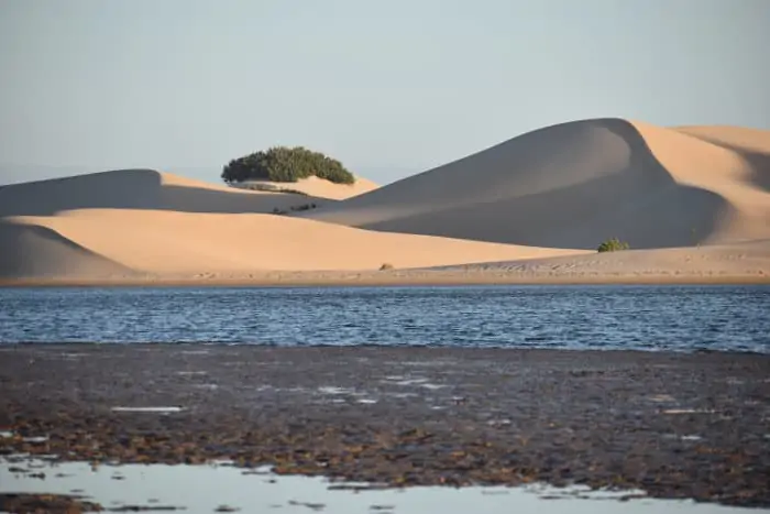 Magnificent sand dunes near Addo in South Africa