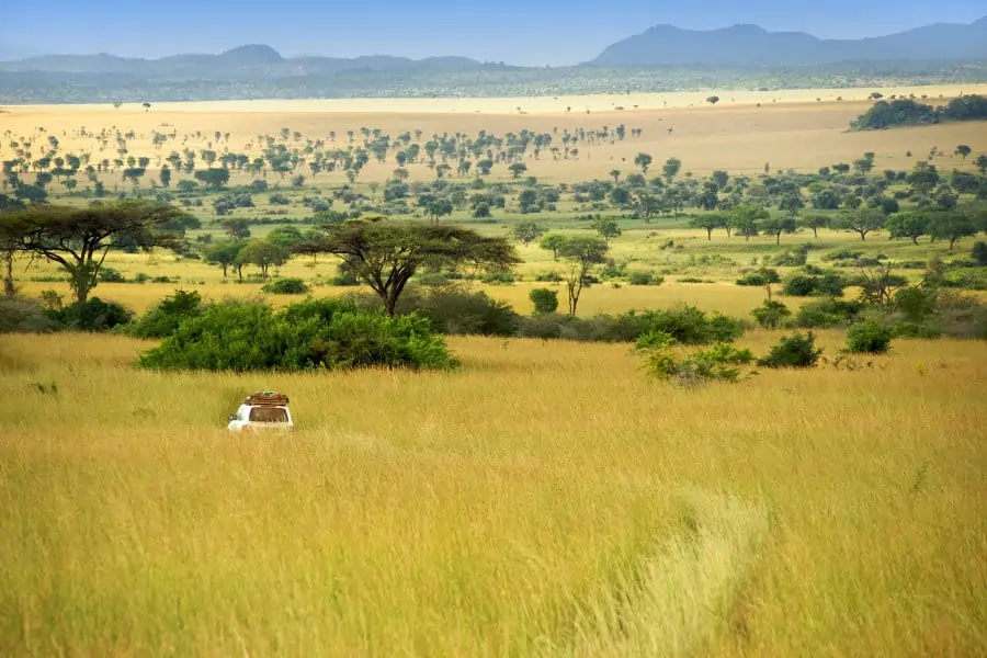 Land Cruiser driving through the plains of Kidepo Valley National Park in Uganda