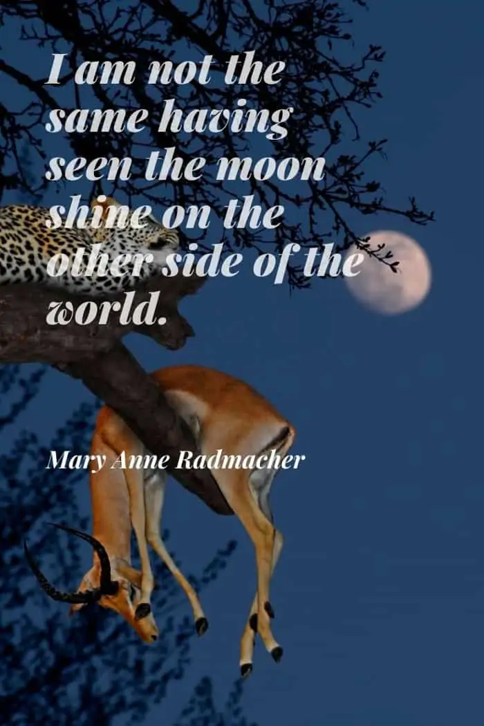 Mary Anne Radmacher quote about the moon