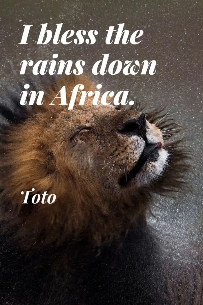 Toto quote about blessing the rains down in Africa