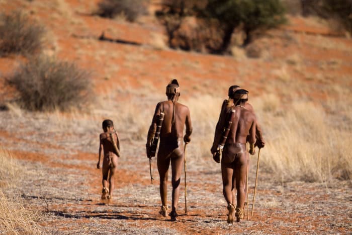 Bushmen of the Kalahari going about their daily lives in the desert