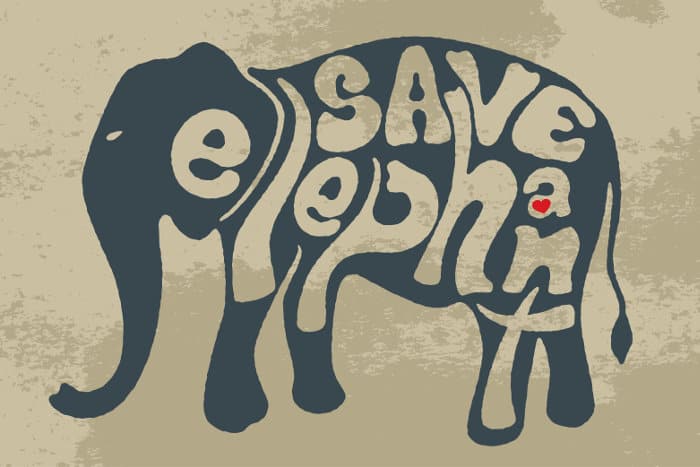 Saving elephants art