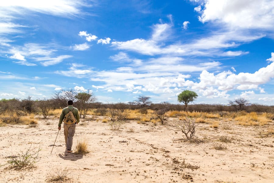 Namibian guide in dry bushveld, on a walking safari in the Waterberg