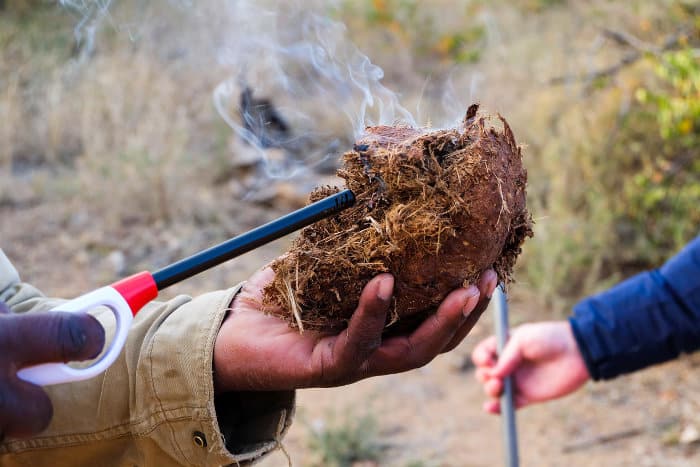 South African man lights up elephant dung to demonstrate some of its medicinal uses