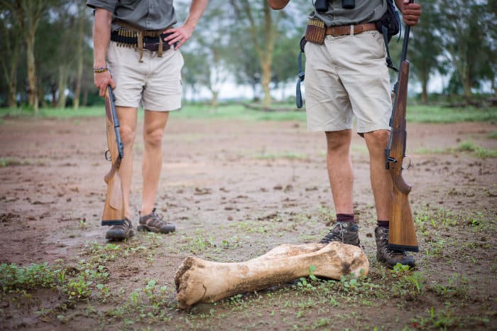 Low angle view of two safari guides and an elephant bone