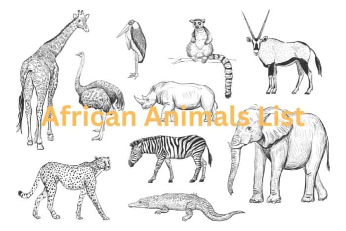 Are There Any Natural African Elephant Predators