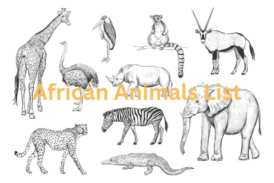 African animals list - Predators, primates & horned animals of Africa