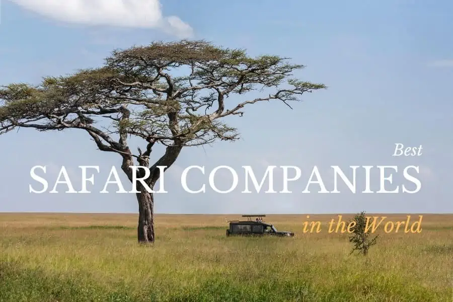 The best safari companies in the world