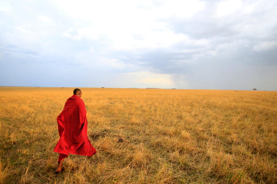 Masai man walking in the African savanna