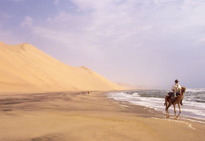 Camel safari in the Namib-Naukluft desert