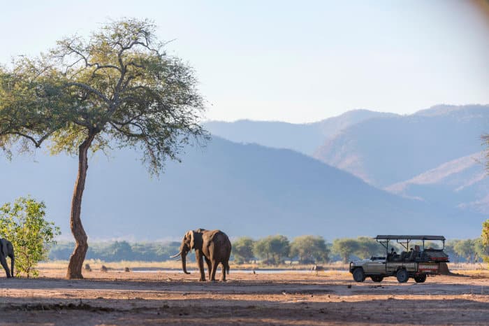 Elephants and safari jeep in Mana Pools, Zimbabwe