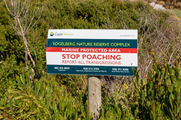 Stop poaching sign in the Kogelberg Nature Reserve, Betty's Bay, Western Cape