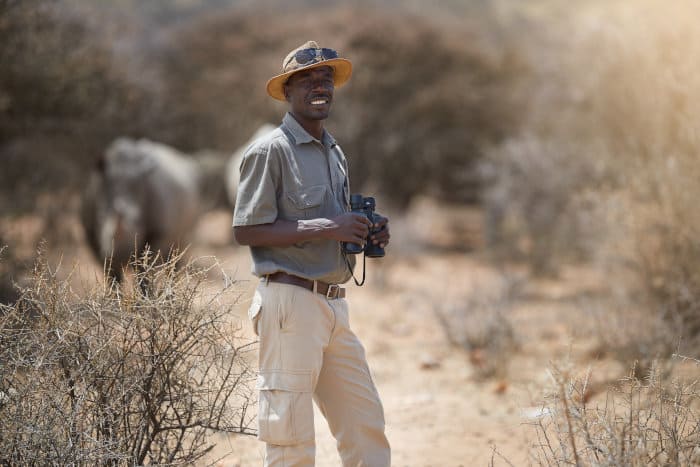 Game ranger observing a group of white rhinos in the African bushveld