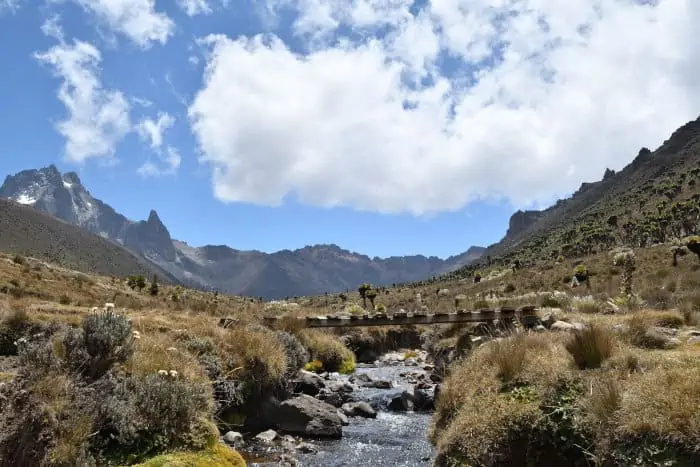 Typical scenery around Mount Kenya