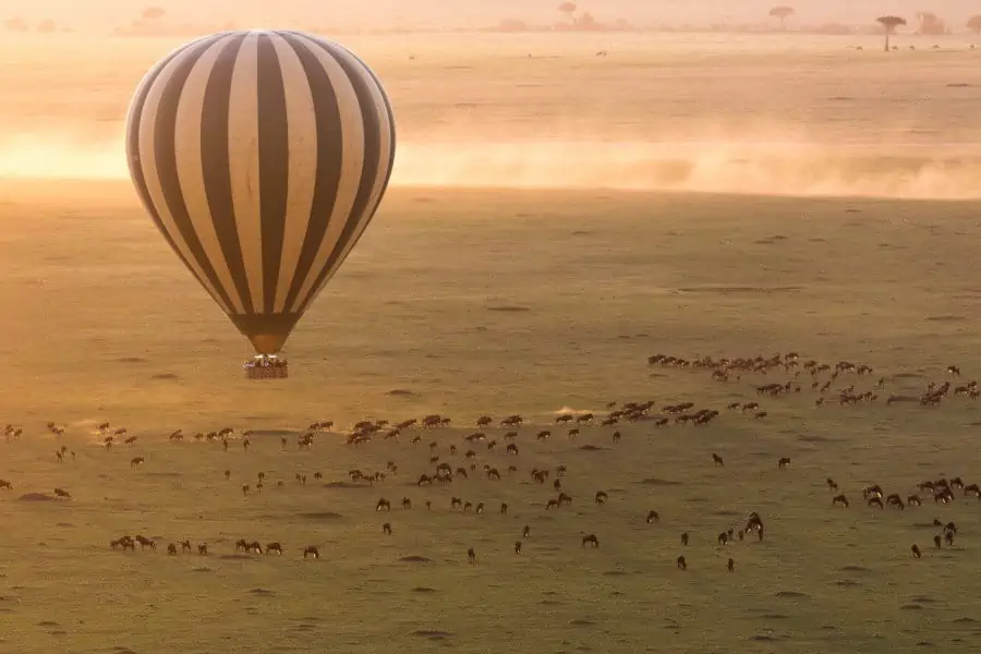 Hot air balloon safari over the wildebeest migration, Serengeti