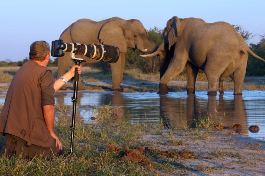 Photographer on foot, taking close shots of wild elephants with a super zoom